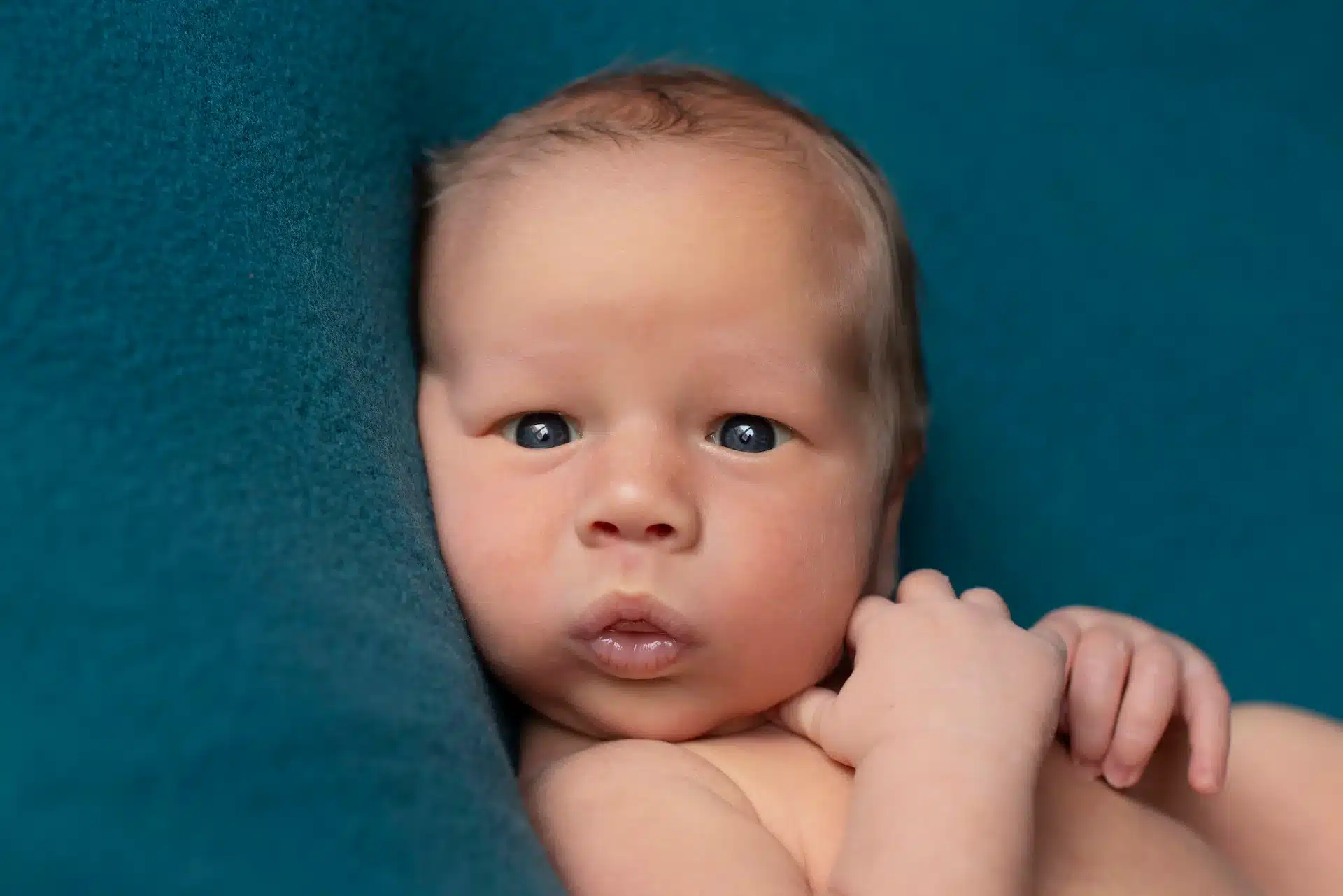 Grands yeux ouverts d'un nouveau-né découvrant le monde, portrait en studio à Court-Saint-Étienne